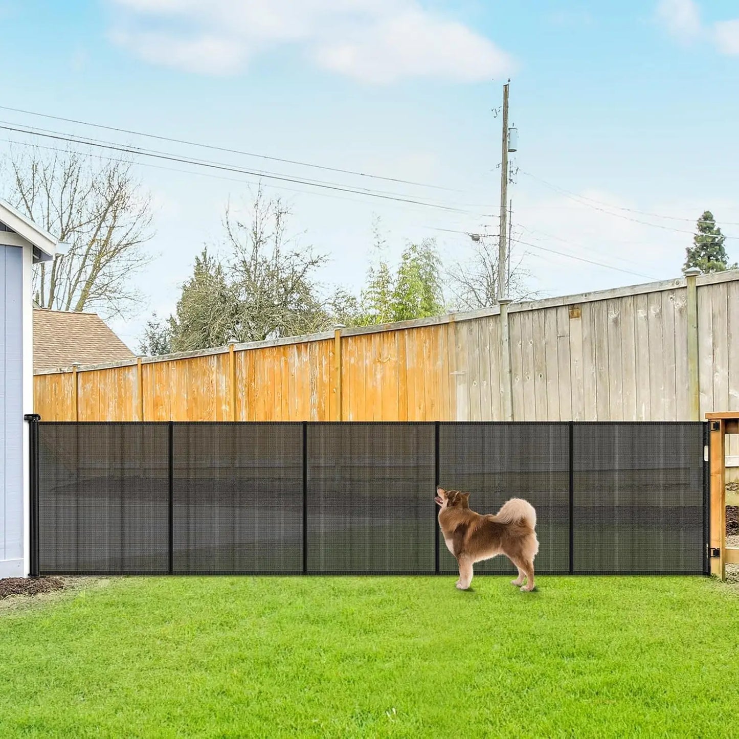 Retractable Dog Gate Barrier For Indoor And Outdoor Use