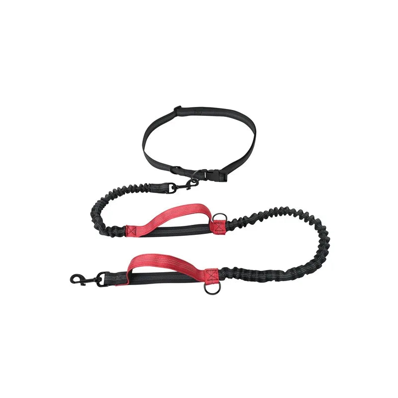 Pet Retractable Belt Leash Reflective Hands Free Dog Leash Running