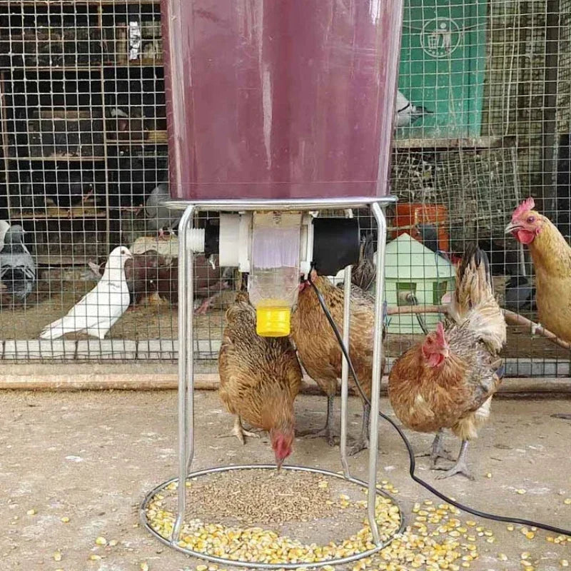 Automatic Chicken Feeder for Pigeons and Chickens with Intelligent Timing