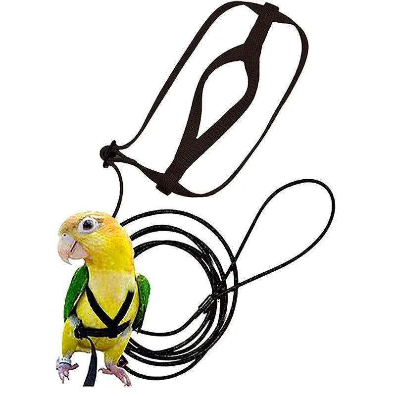 Parrot Harness Leash For Small Birds Outdoor Flying Rope
