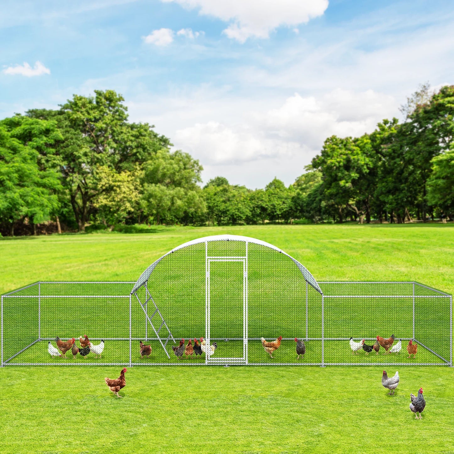 Galvanized Metal Chicken Coop Dome Roof Walk In Enclosure