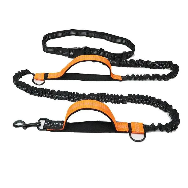 Pet Retractable Belt Leash Reflective Hands Free Dog Leash Running