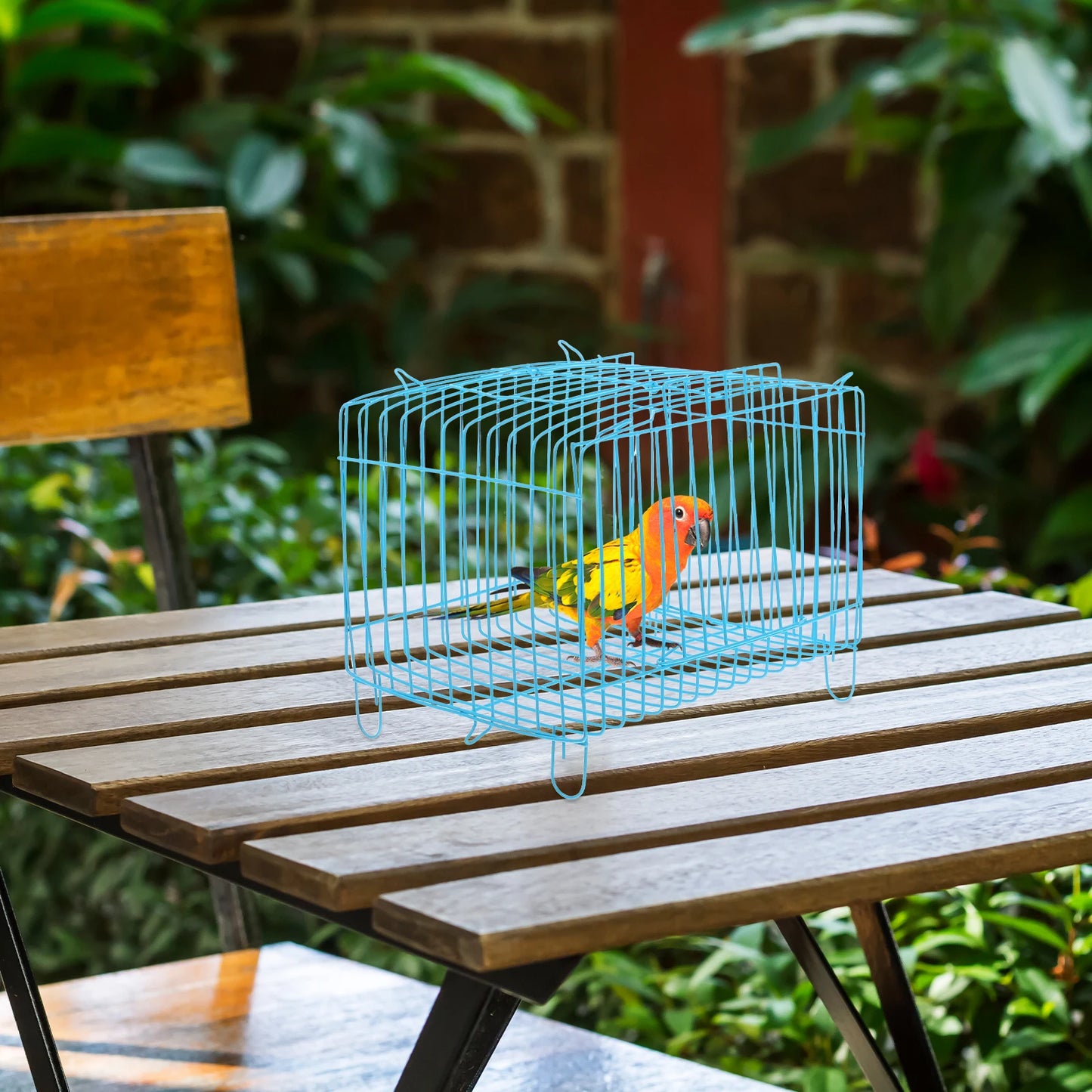 Portable Bird Cage Travel Carrier For Small Parrots