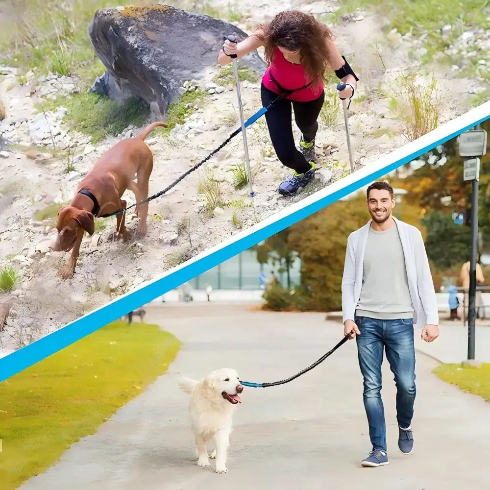 Pet Retractable Belt Leash Reflective Hands Free Dog Leash Running