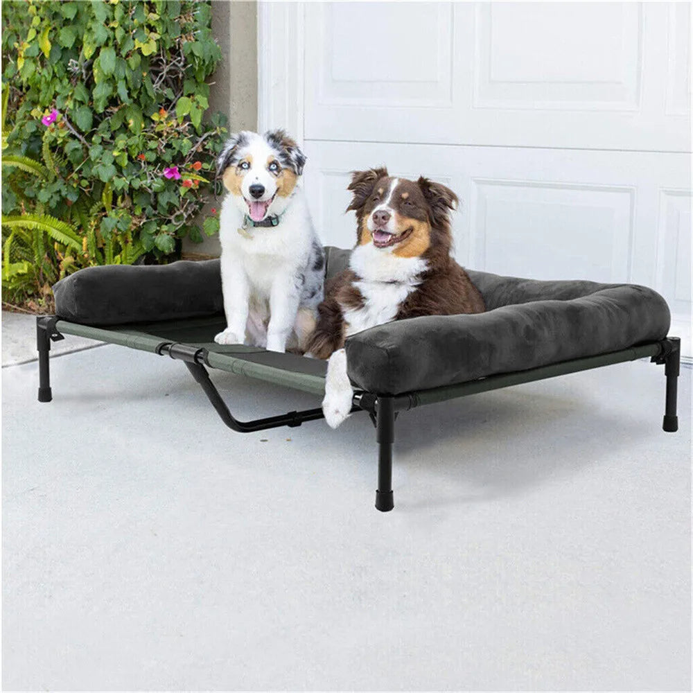 Borwart Cooling Elevated Dog Bed Indoor Outdoor Raised Sofa