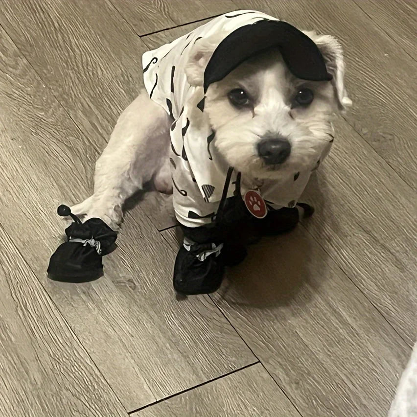 Water-Resistant Dog Shoes For Small Dogs