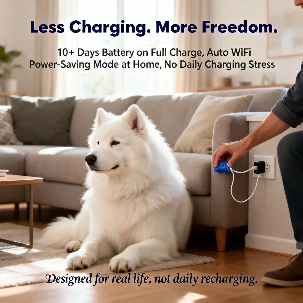 Wanwaytech GPS Pet Tracker For Dogs Cats With IoT SIM