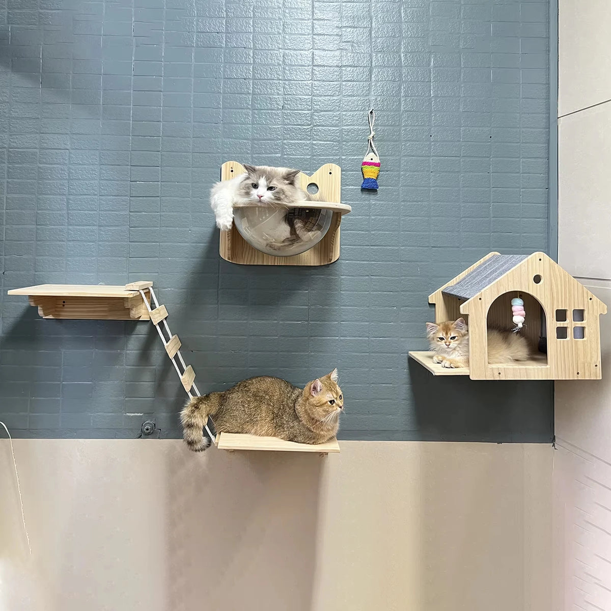 CWV Wooden Wall Mounted Cat Condo And Climbing Shelf