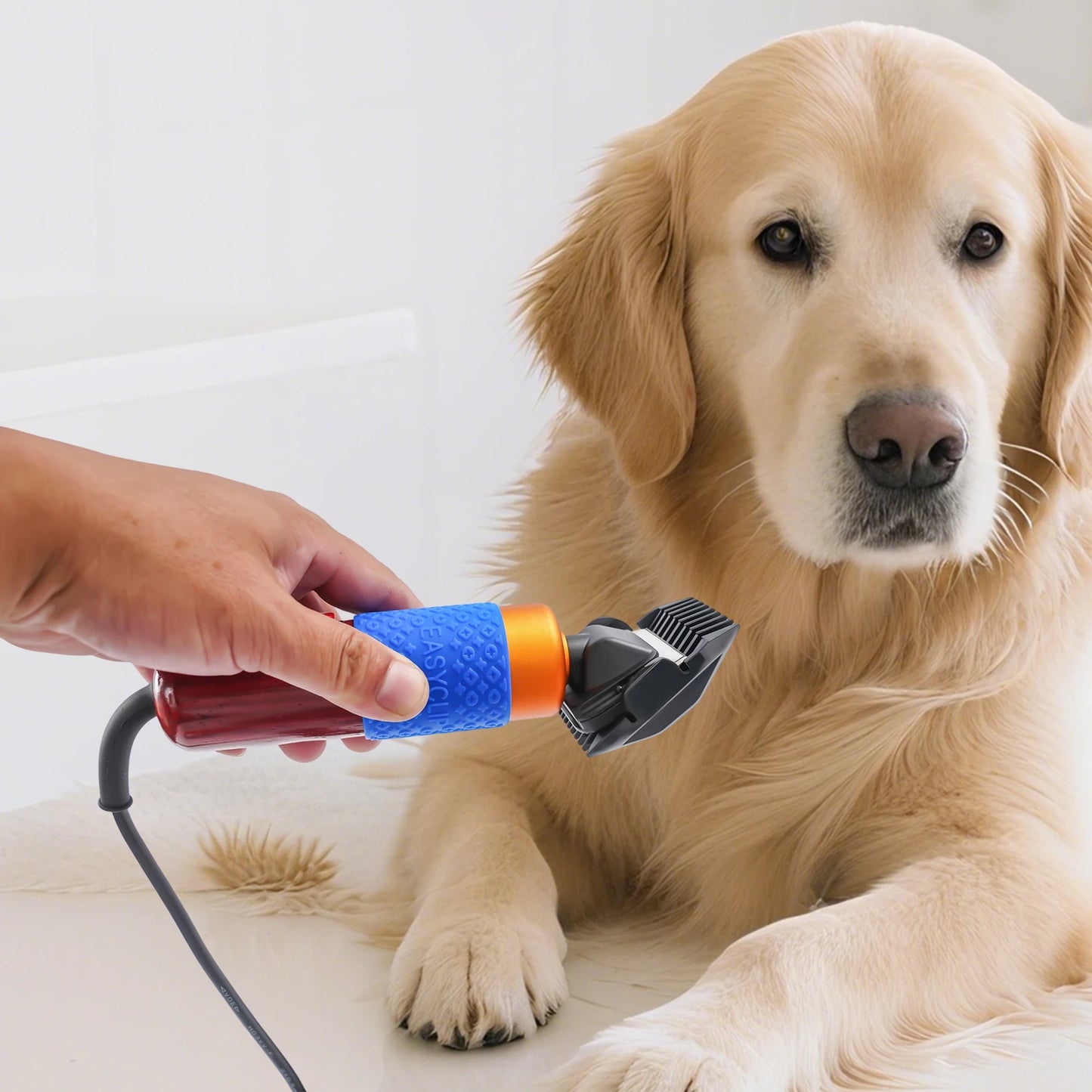 36W Professional Dog Clipper and Cat Grooming Kit Detachable Blades
