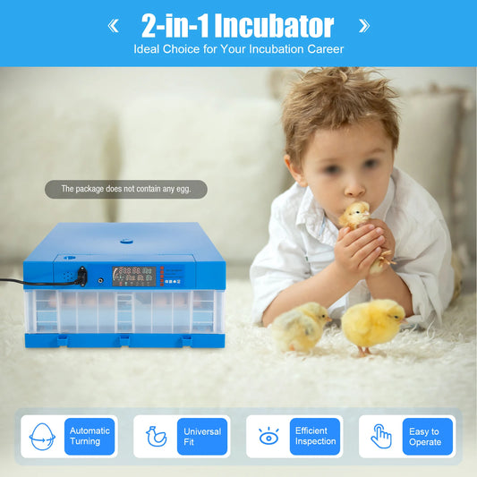 80W Fully Automatic Egg Incubator Dual Power Supply Chicken Eggs
