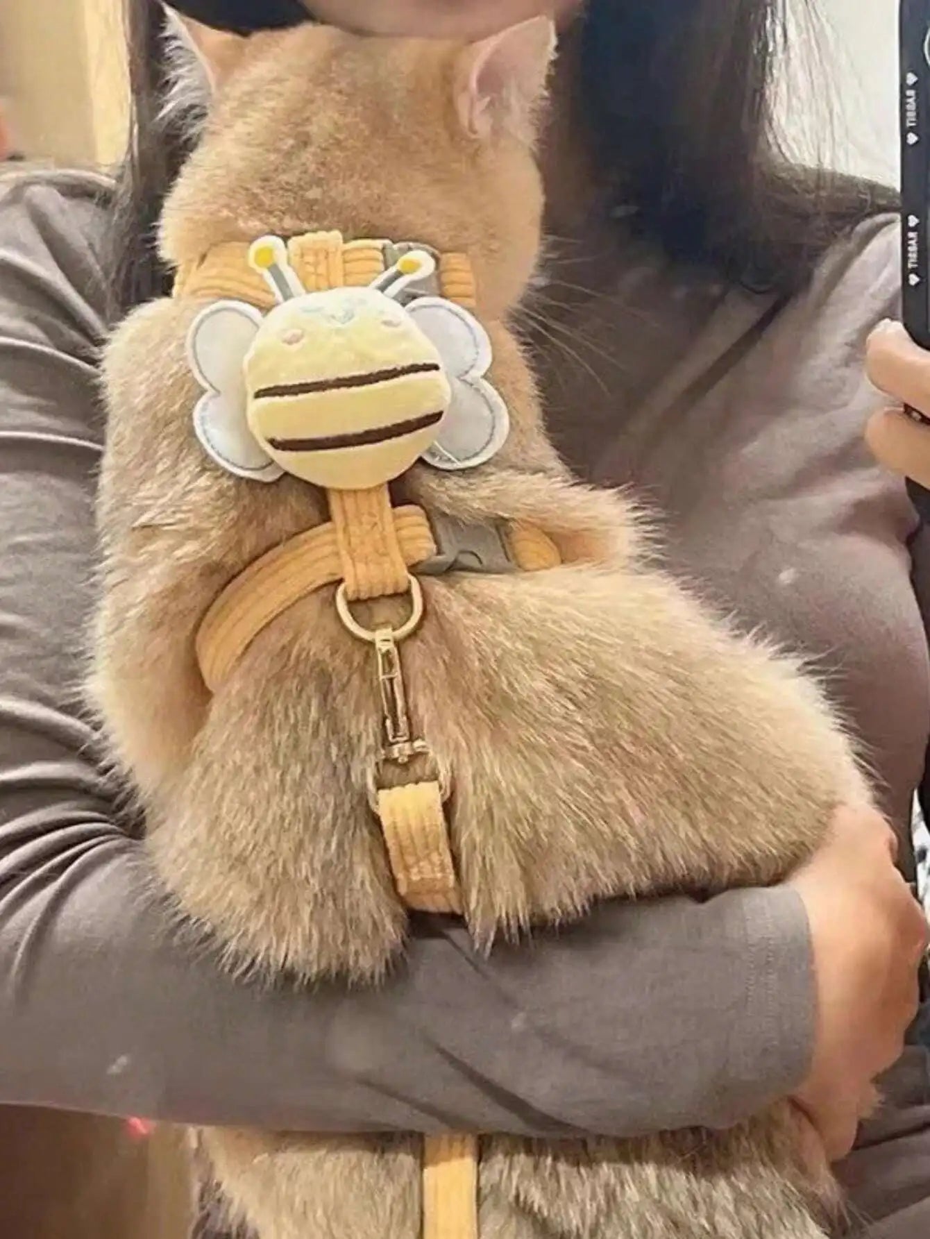 Small Dog Harness Leash Chest Back Style Vest Teddy Bichon