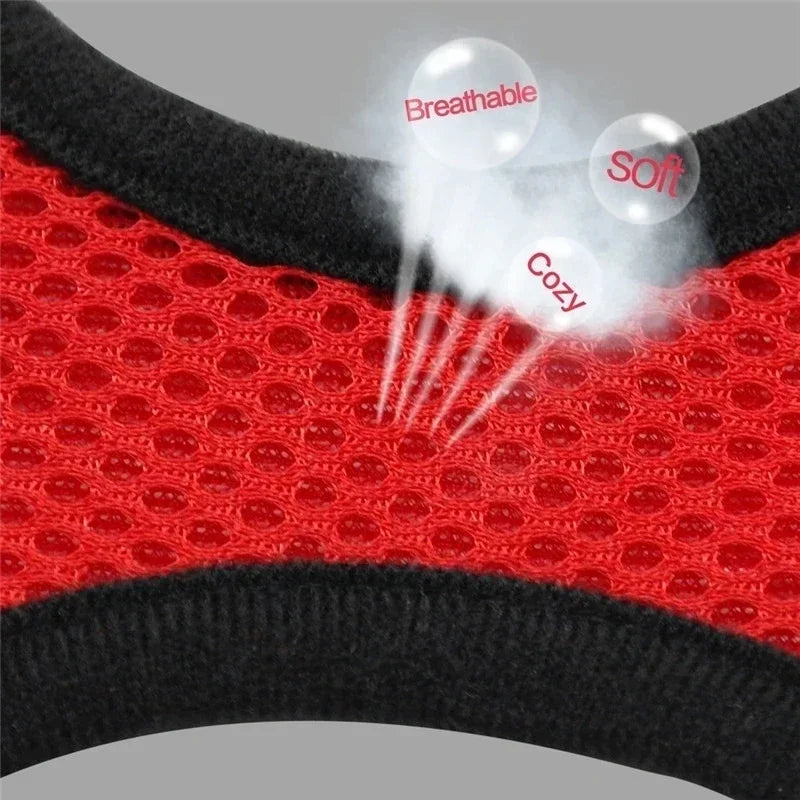 Cat And Small Dog Harness Vest With Leash Polyester Mesh