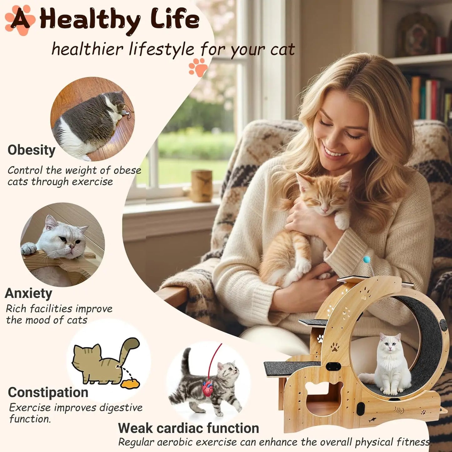 Cat Wheel Six in One Indoor Exercise and Scratching Station