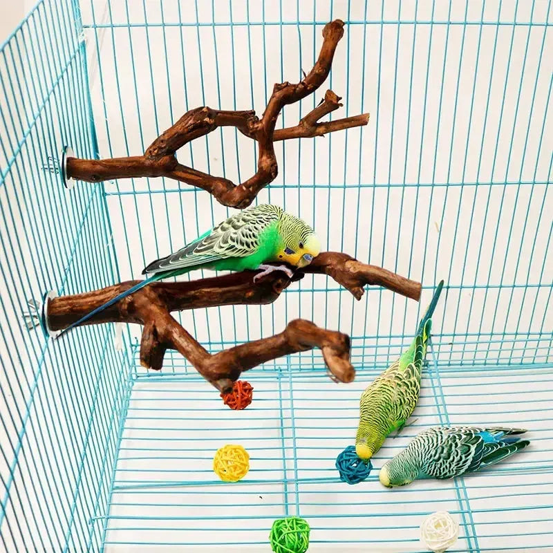Grapewood Bird Perch And Grinding Toy For Parrots Cockatiels Parakeets