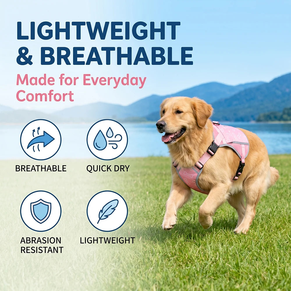 Replaceable Cooling Pack Vest For Alaskan Malamute Dog