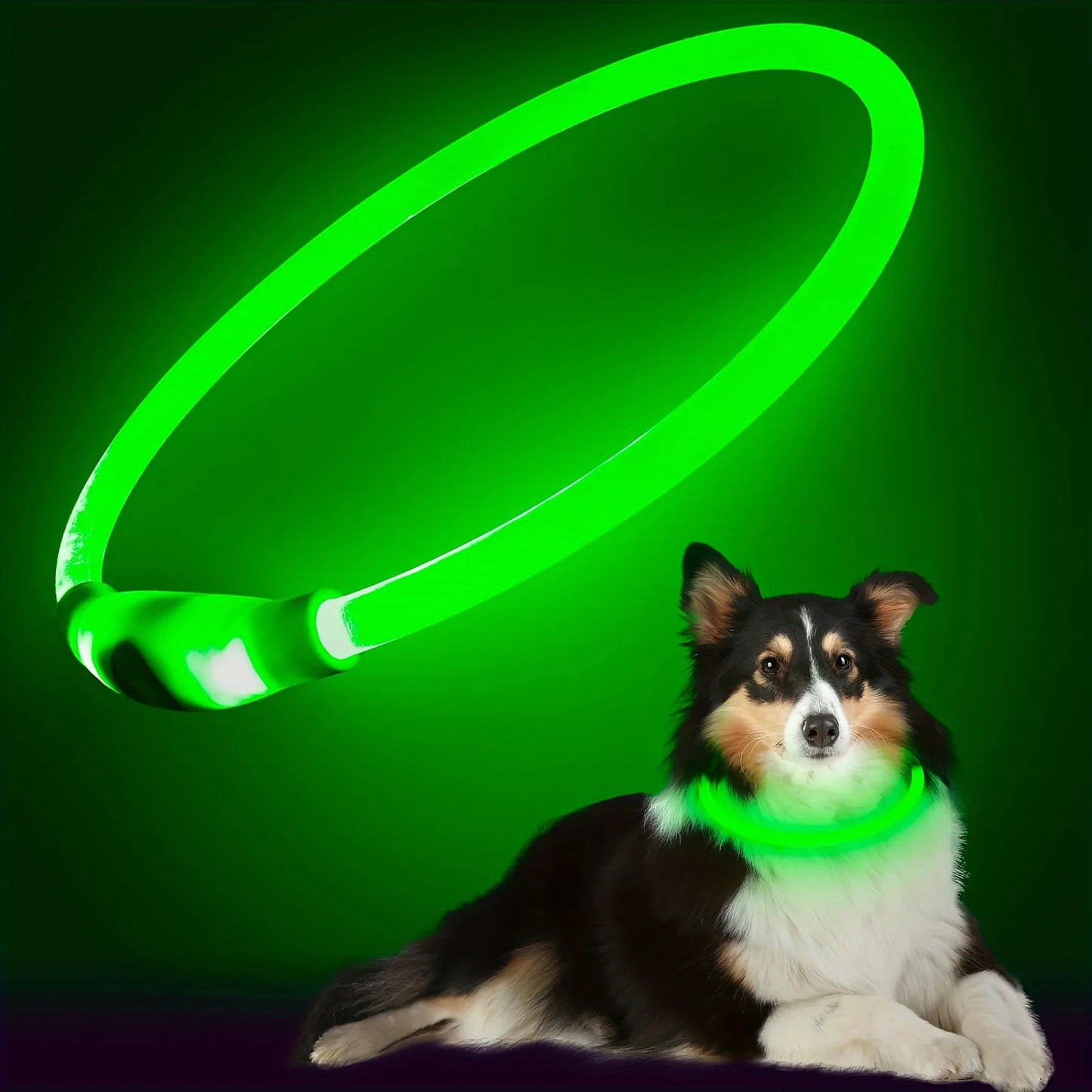 LED Light Dog Collar USB Rechargeable Reflective Necklace