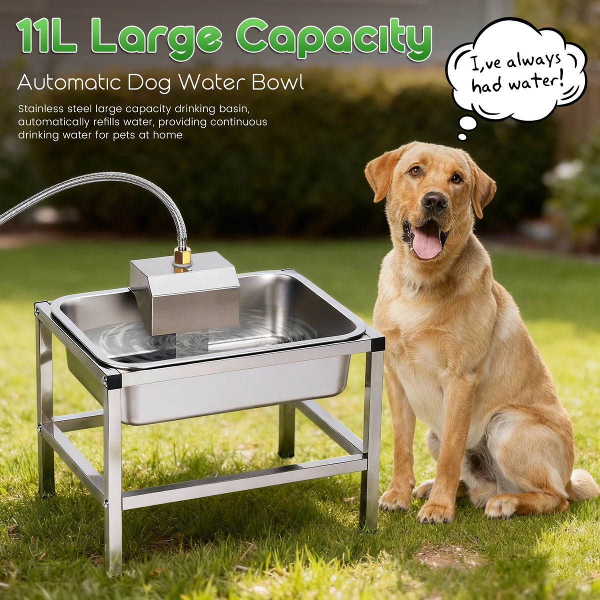 Durable Stainless Steel Elevated Dog Drinking Bowl For Pets