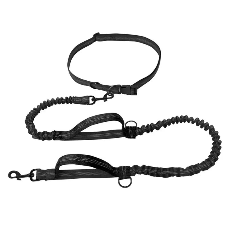 Pet Retractable Belt Leash Reflective Hands Free Dog Leash Running