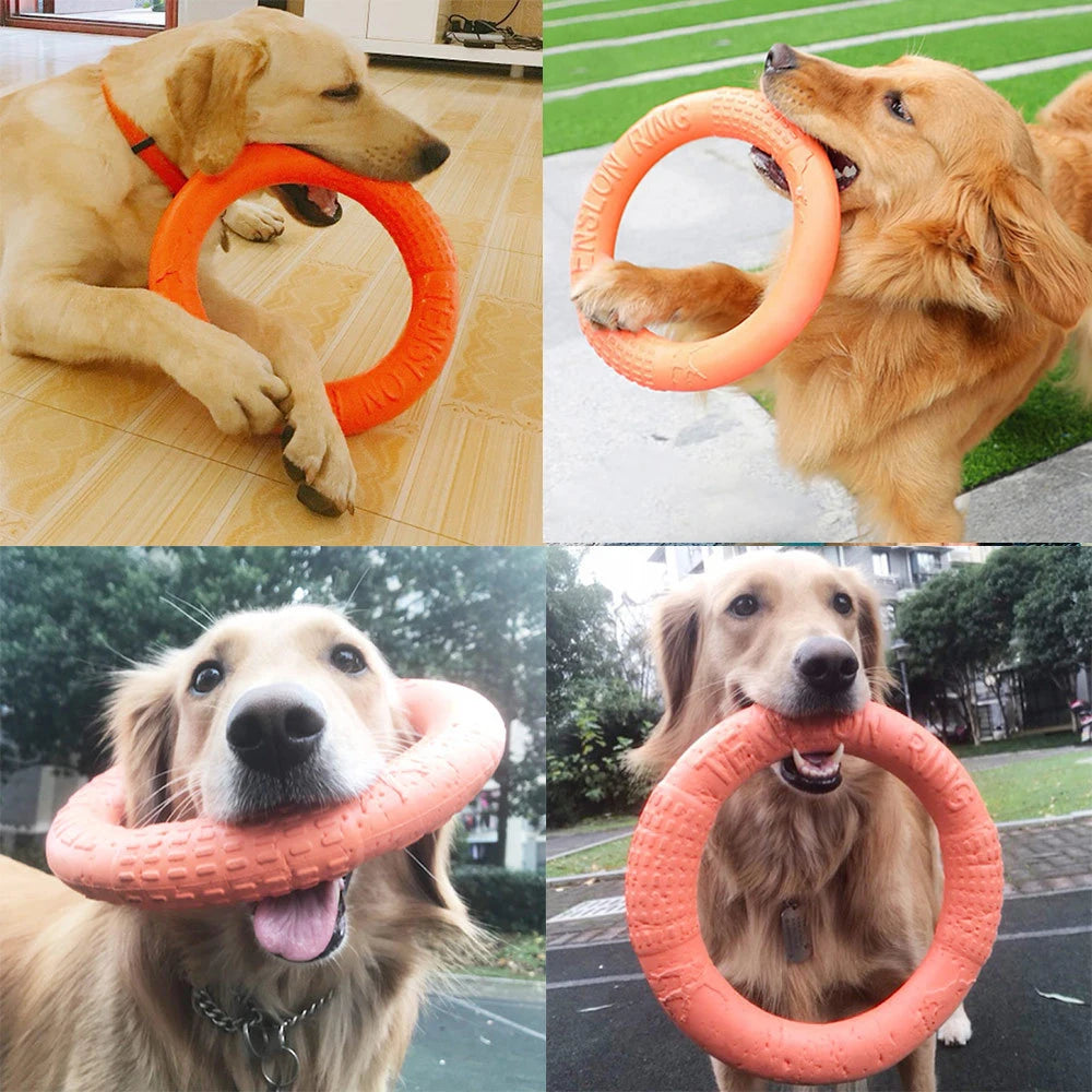 Dog Toy Flying Disk Ring Puller Eva Interactive Training