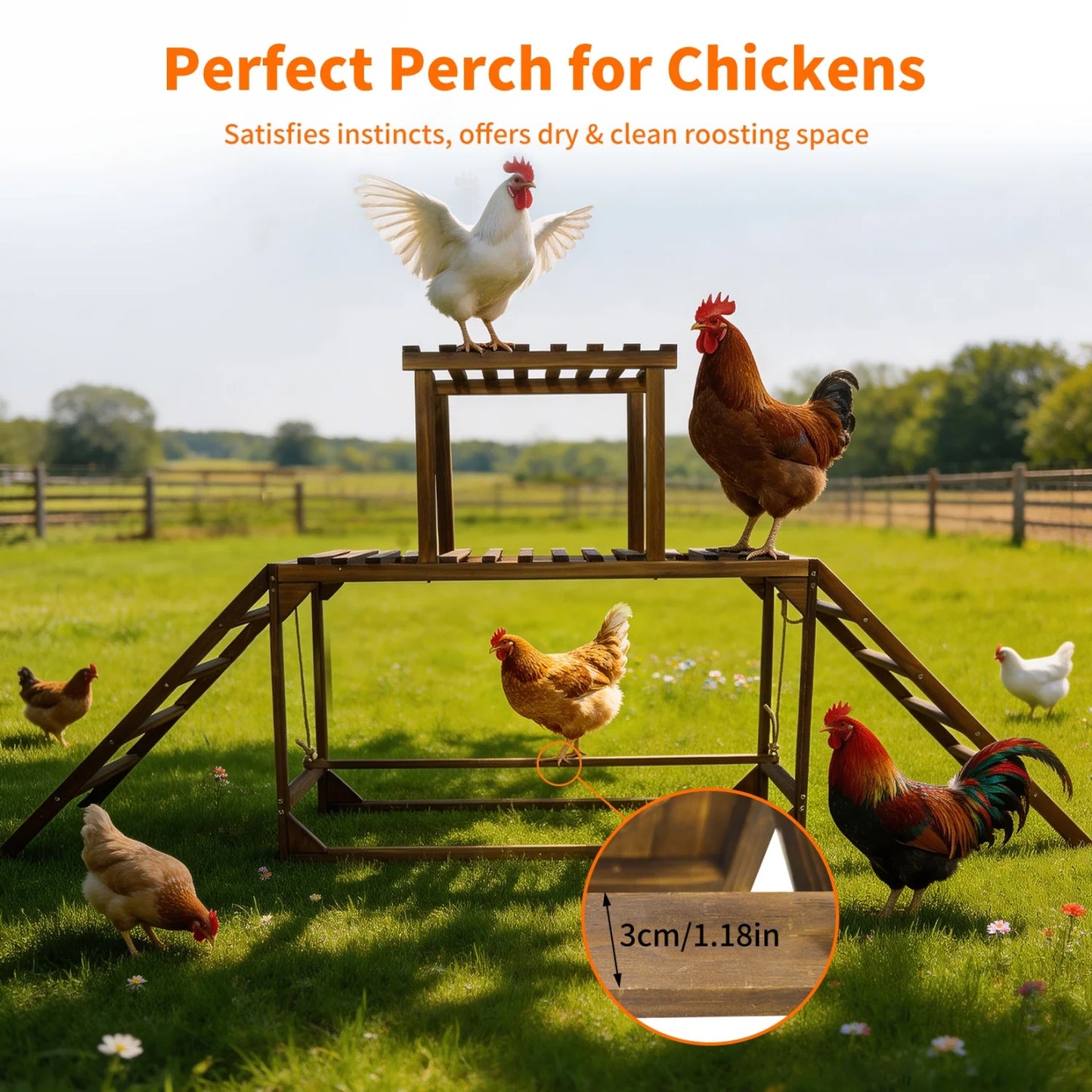 BINGOPAW Pine Wood Chicken Perch Swing And Climbing Ladder