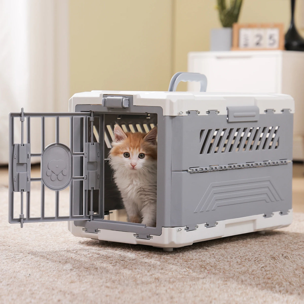 PAWZ Road Foldable Pet Travel Carrier with Secure Lock Door