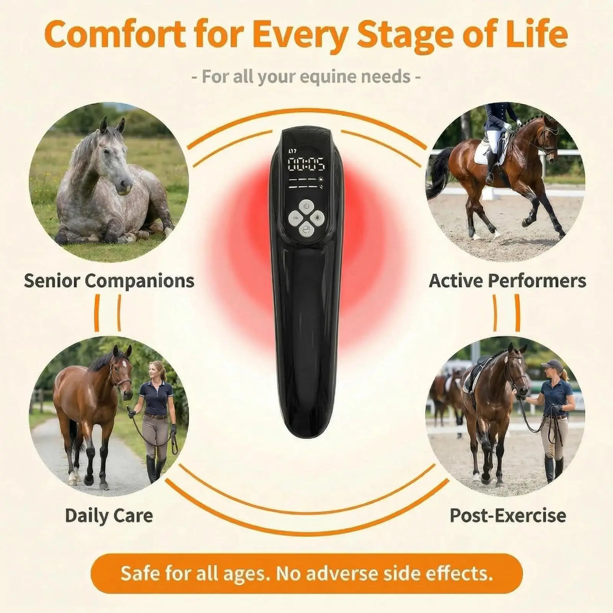 Veterinary 808nm Laser Therapy Device For Horses Pain Relief