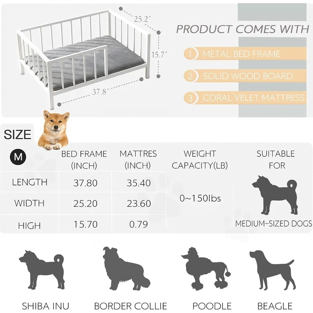 Elevated Dog Bed With Rails Metal Frame And Solid Wood