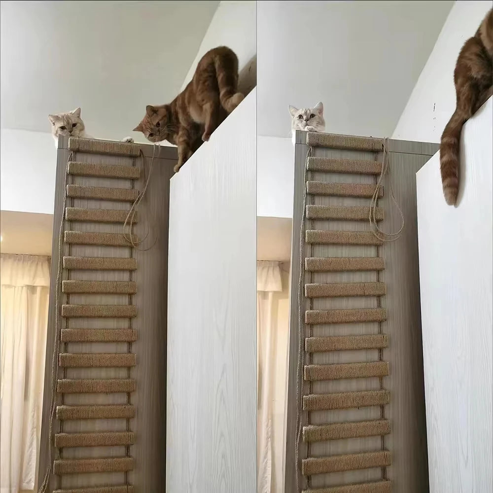 CWV Sisal Rope Cat Bridge Ladder and Scratching Furniture for Climbing and Play