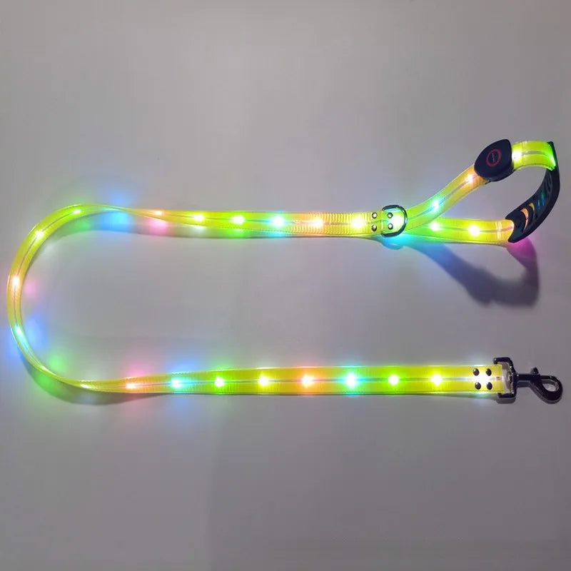 LED Light Up Dog Leash USB Rechargeable for Night Walks