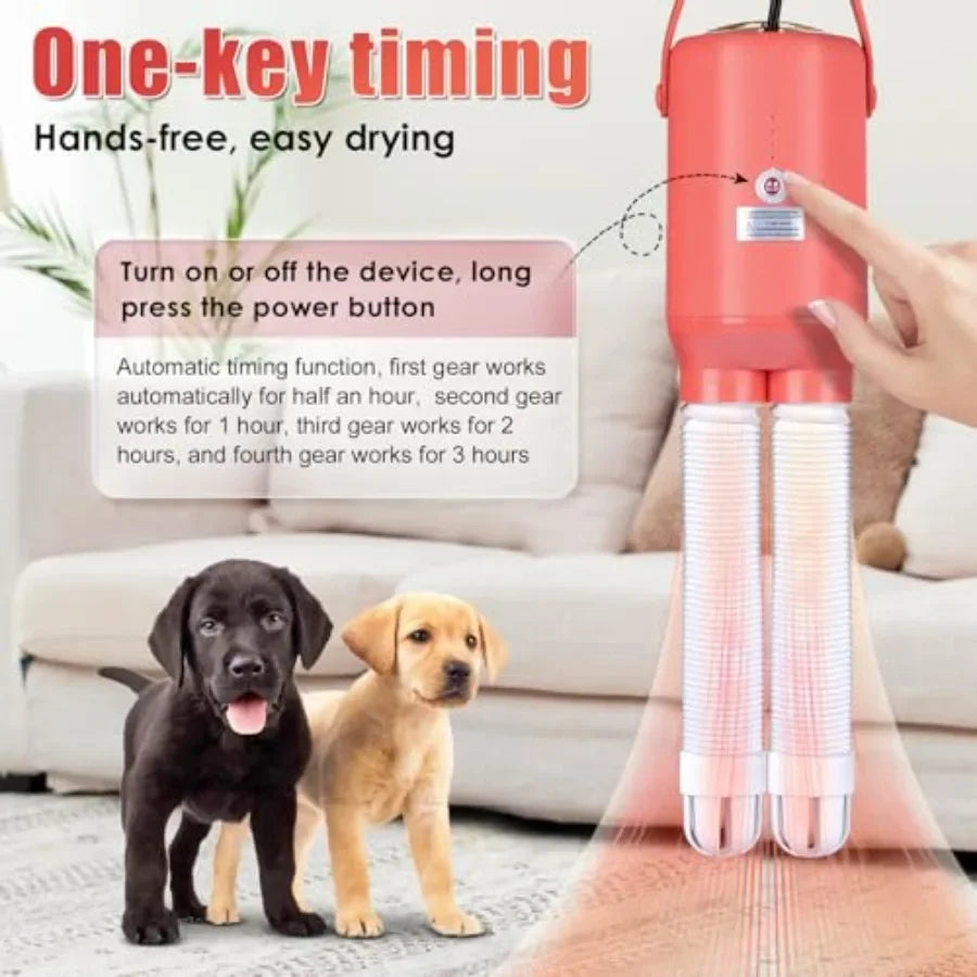 Automatic Pet Dryer Box for Cats and Small Dogs Timer