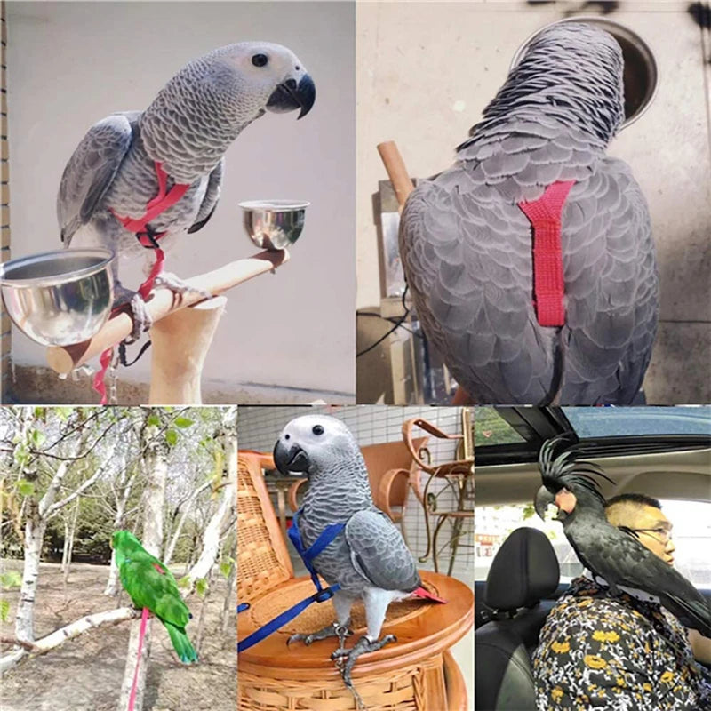 Parrot Harness Leash For Small Birds Outdoor Flying Rope