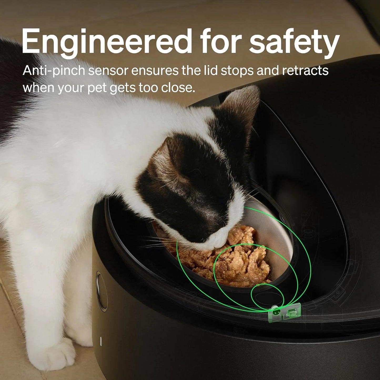 Semiconductor Cooling Wet Pet Food Feeder With App Control