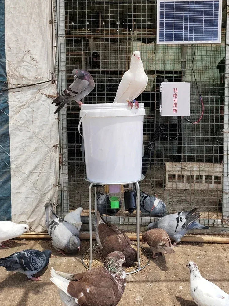 Automatic Chicken Feeder for Pigeons and Chickens with Intelligent Timing