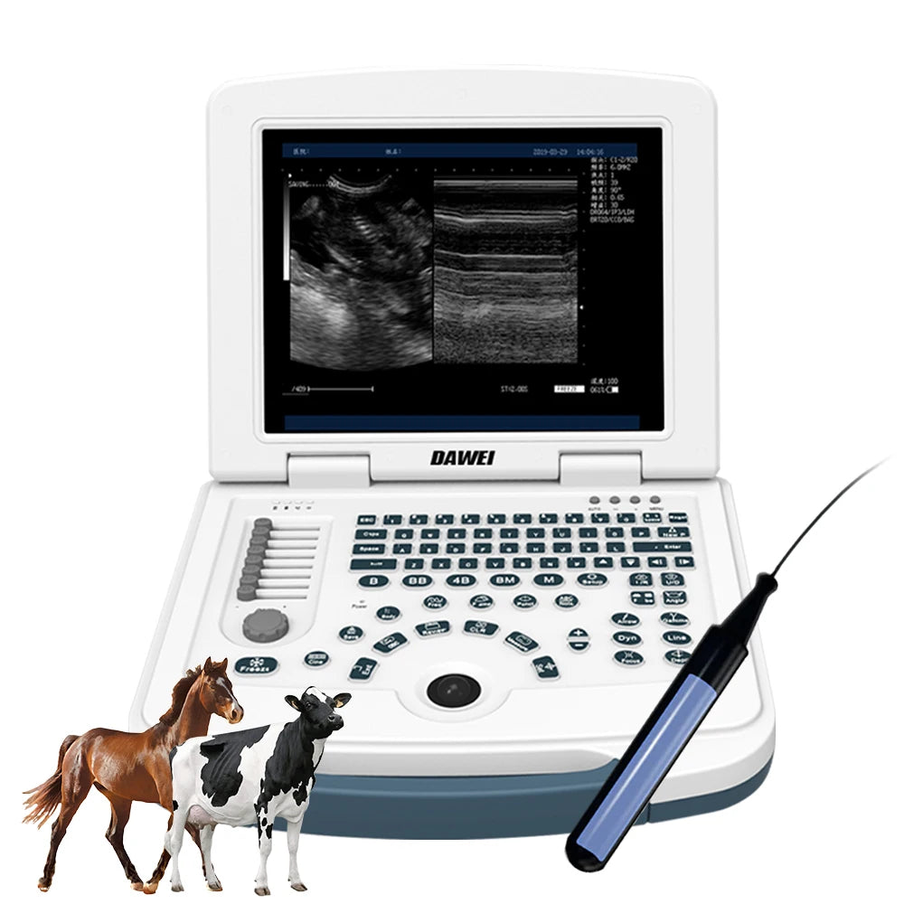 DAWEI Portable Veterinary Ultrasound Scanner With 3.5MHz Convex Probe