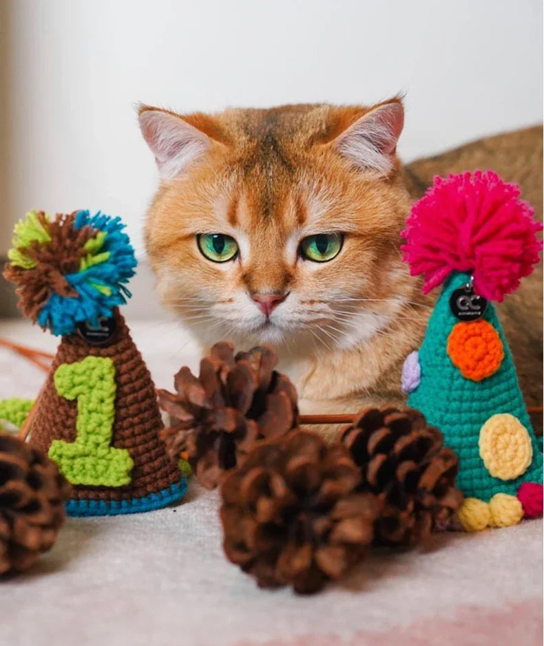 Handmade Crochet Pet Birthday Hat For Cats And Dogs