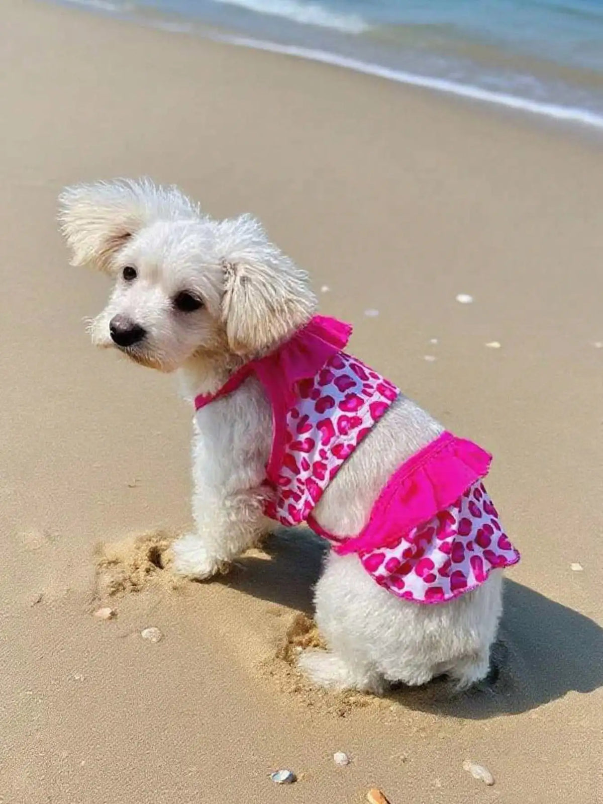 Elegant Lace Camisole Dress For Small Dogs And Outdoor Travel