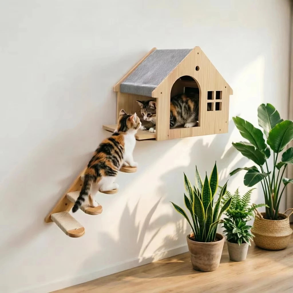 CWV Wooden Wall Mounted Cat Condo And Climbing Shelf
