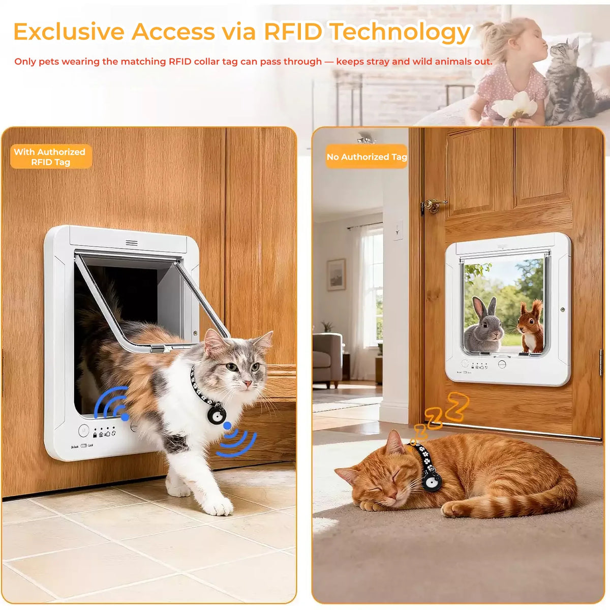 RFID Cat Door With Collar Recognition And Four Way Control