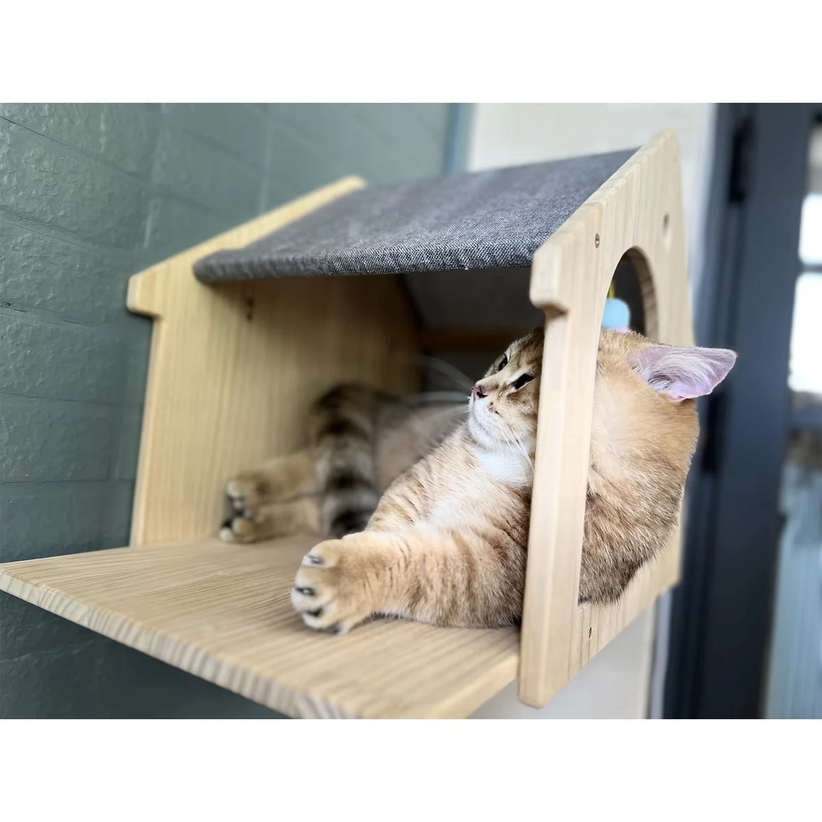 CWV Wooden Wall Mounted Cat Condo And Climbing Shelf