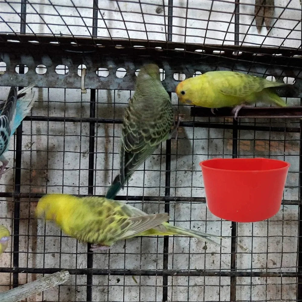 Premium Plastic Hanging Bird And Chicken Feeder Cups