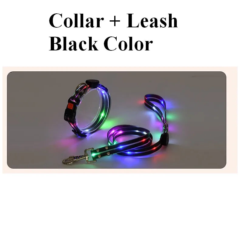 LED Light Up Dog Leash USB Rechargeable for Night Walks