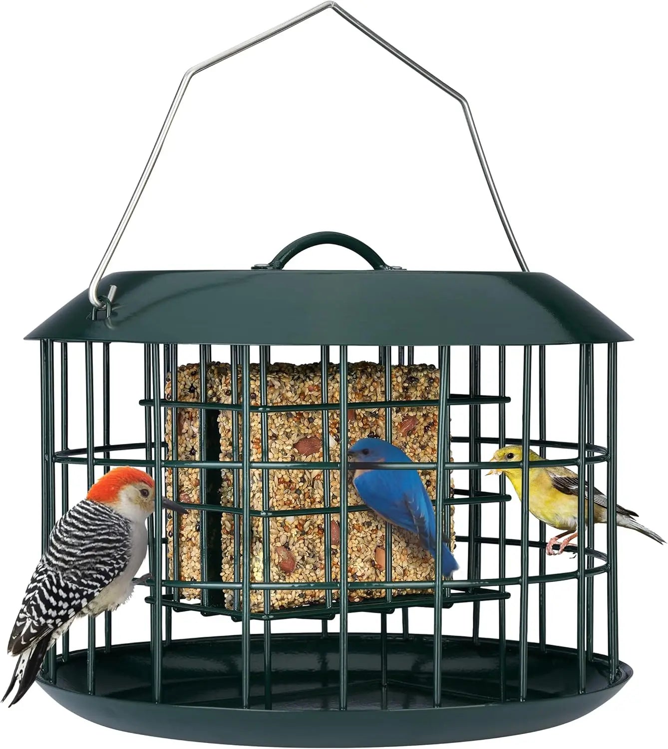 Squirrel Proof Suet Feeder With Weatherproof Tray And Double Capacity