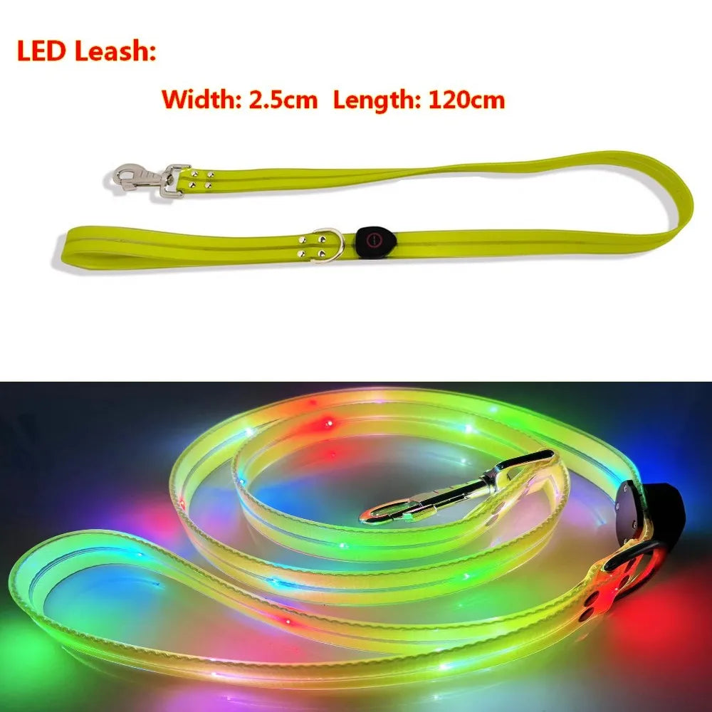 LED Light Up Dog Leash USB Rechargeable for Night Walks