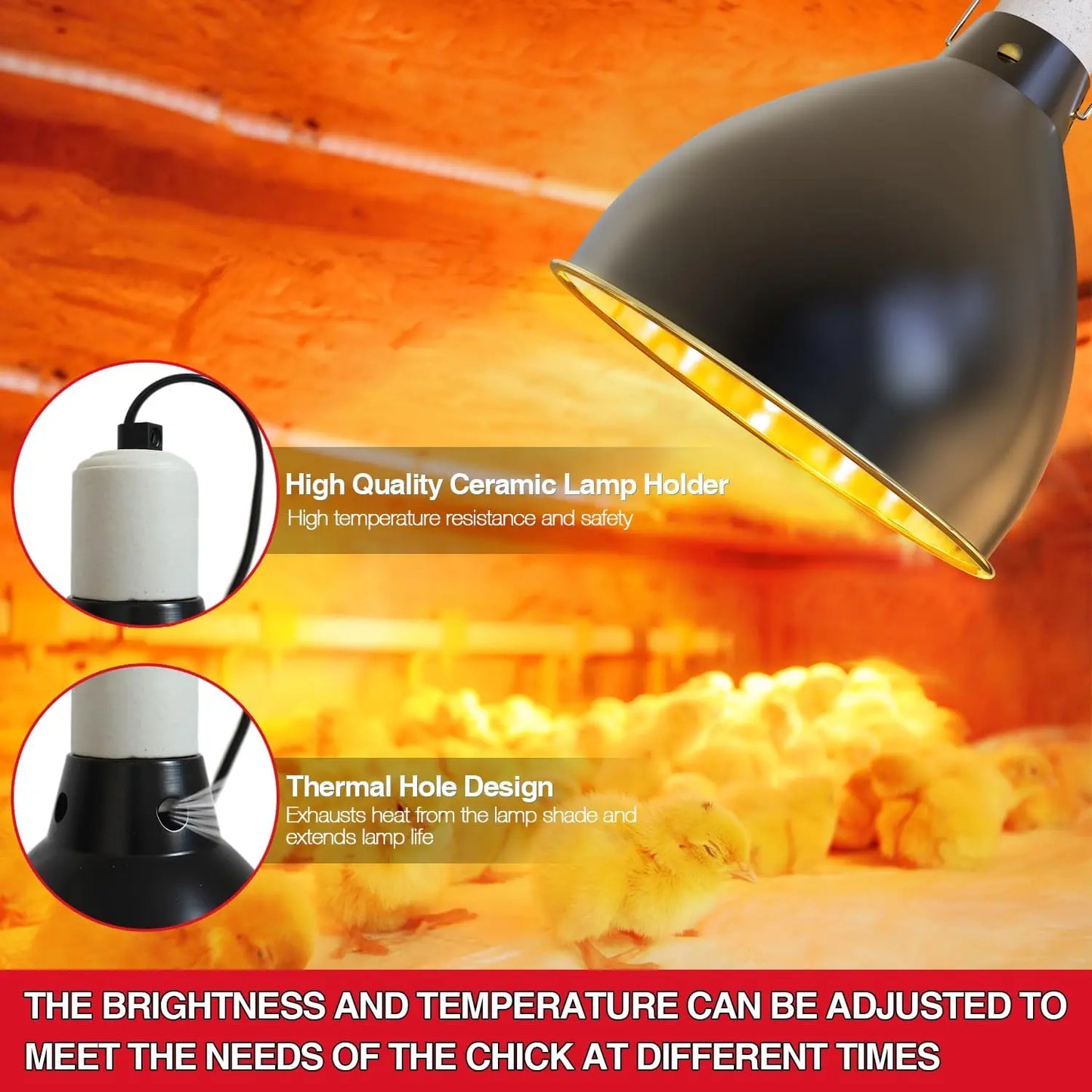 Chicken Brooder Box Starter Kit Indoor Brooder for Chicks