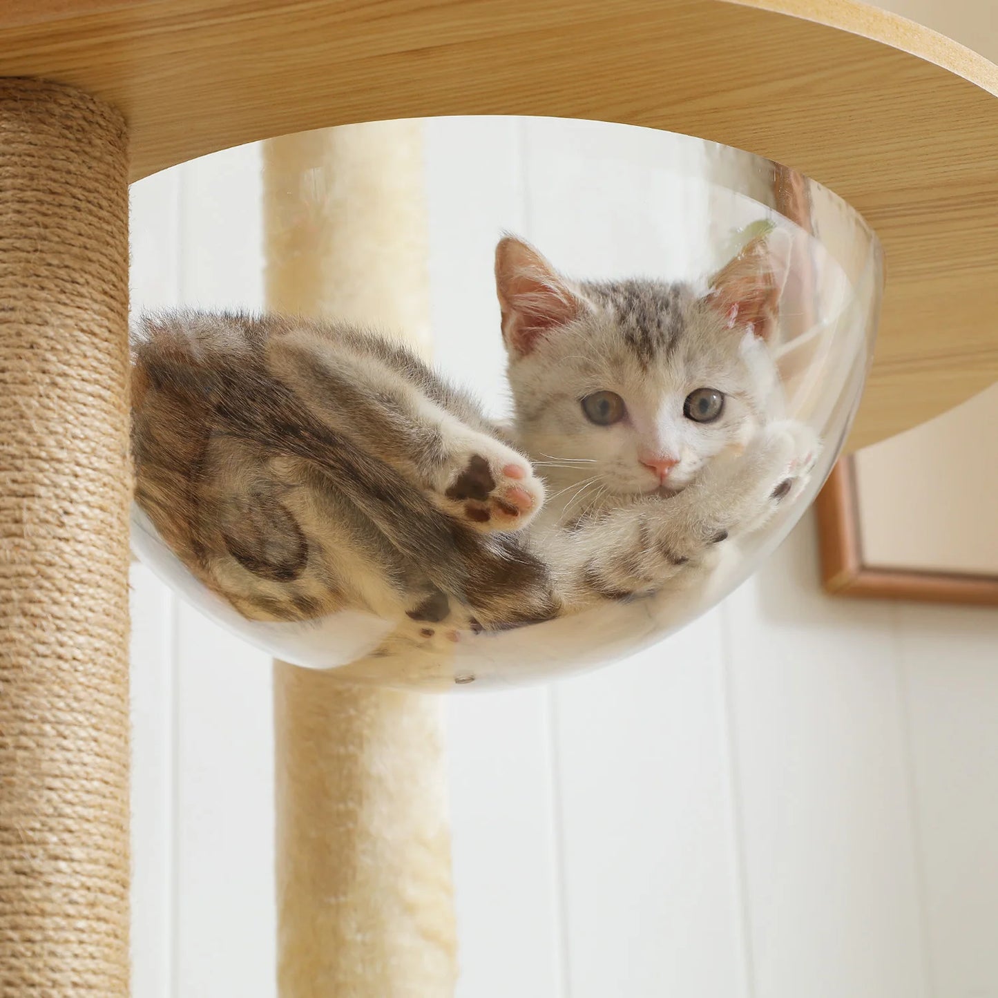 PAWZ Ro Multi Level Cat Tree With Scratching Posts Tower