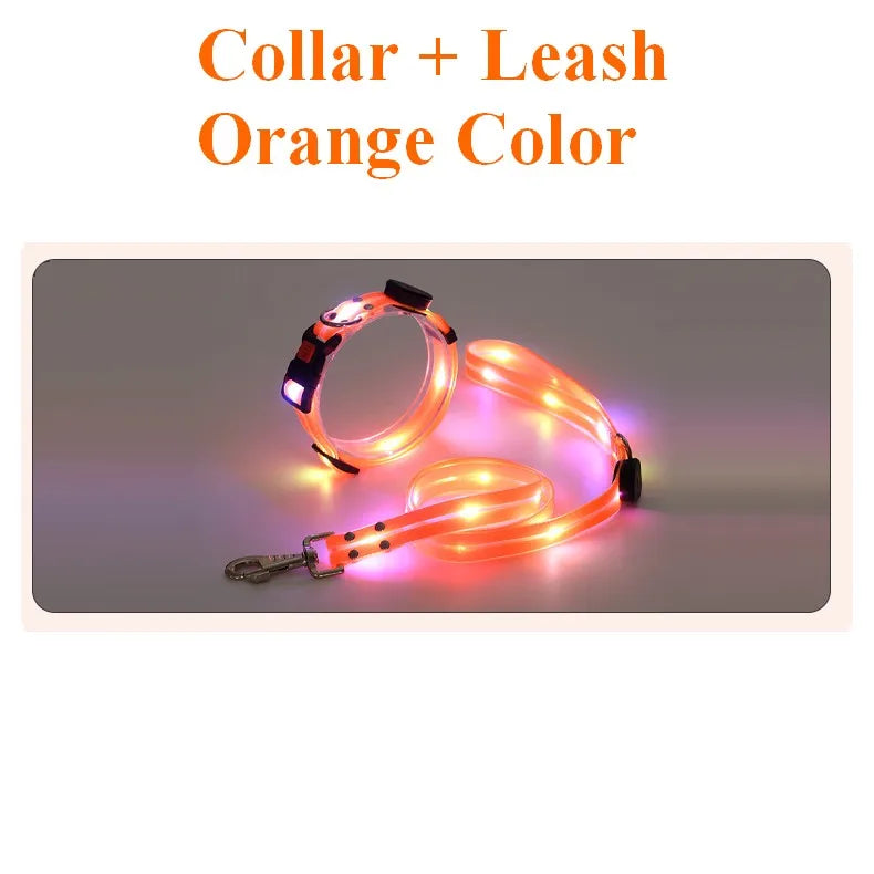 LED Light Up Dog Leash USB Rechargeable for Night Walks