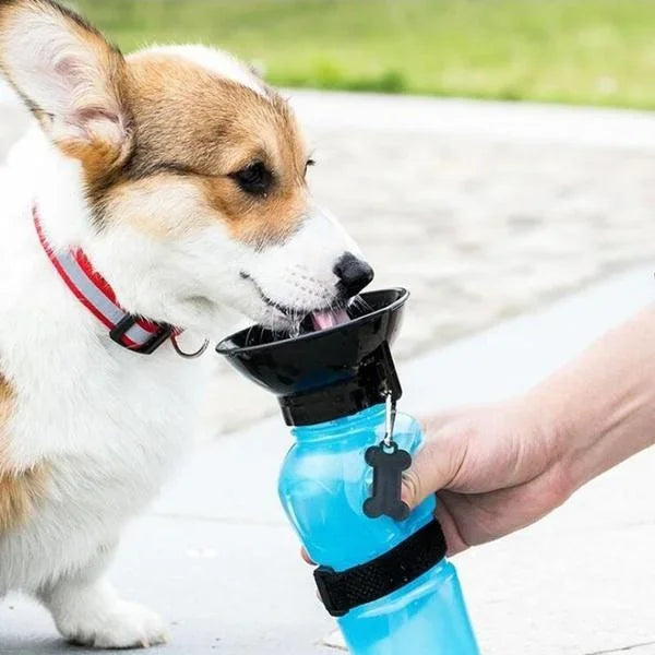 Portable Pet Water Bottle With Cup For Dogs And Cats