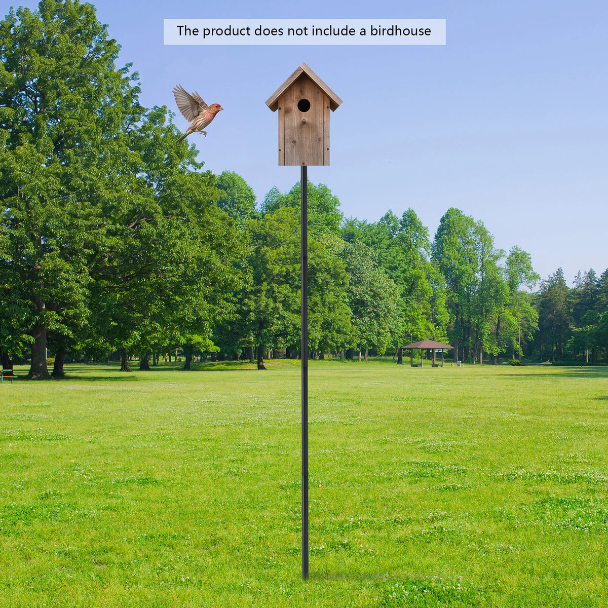 Galvanized Steel Bird House Mounting Pole with Ground Socket