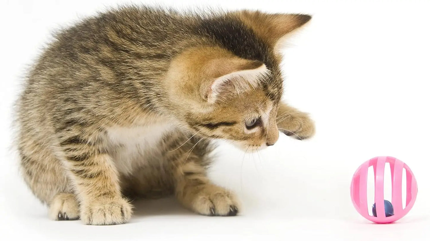 Plastic Ball Cat Toys With Bell Lattice Kitten Toy Set