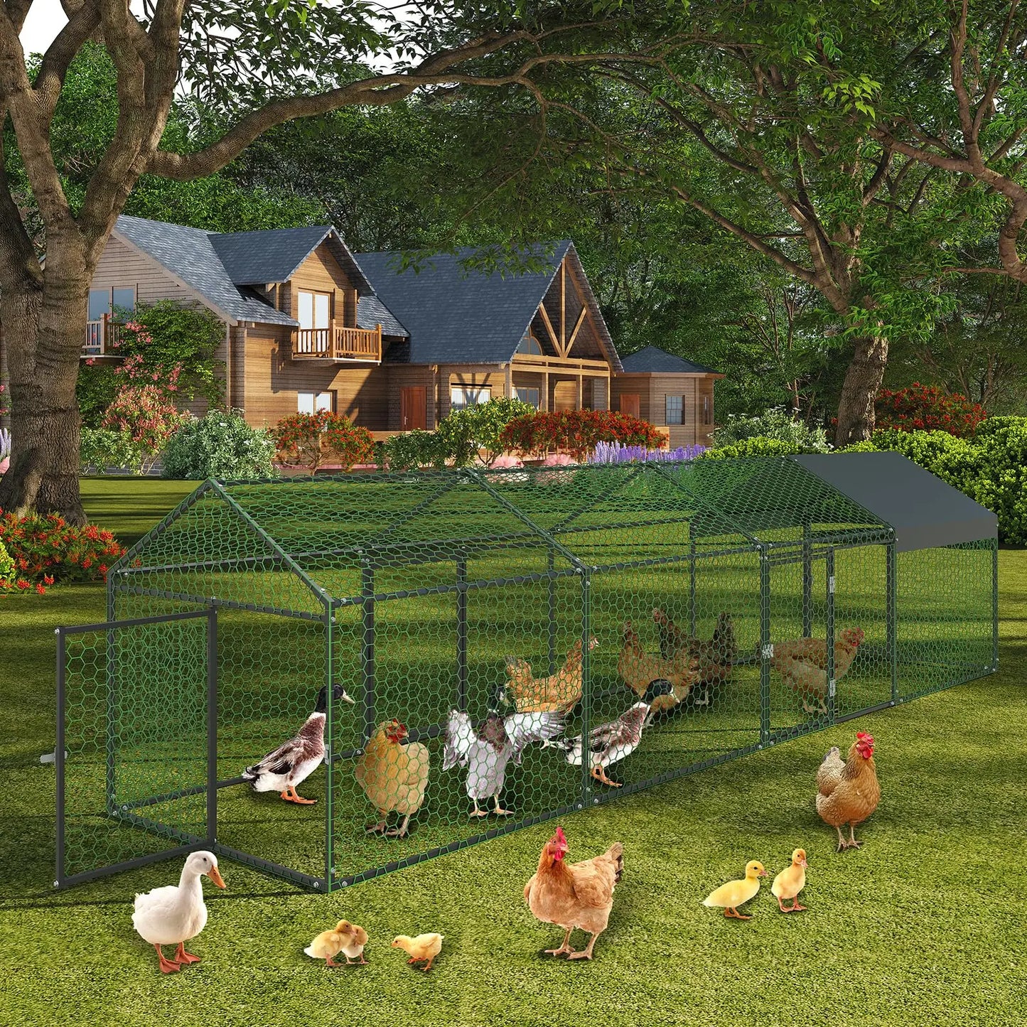 HiMISS Heavy Duty Metal Chicken Coop Walk In With Doors And UV Cover